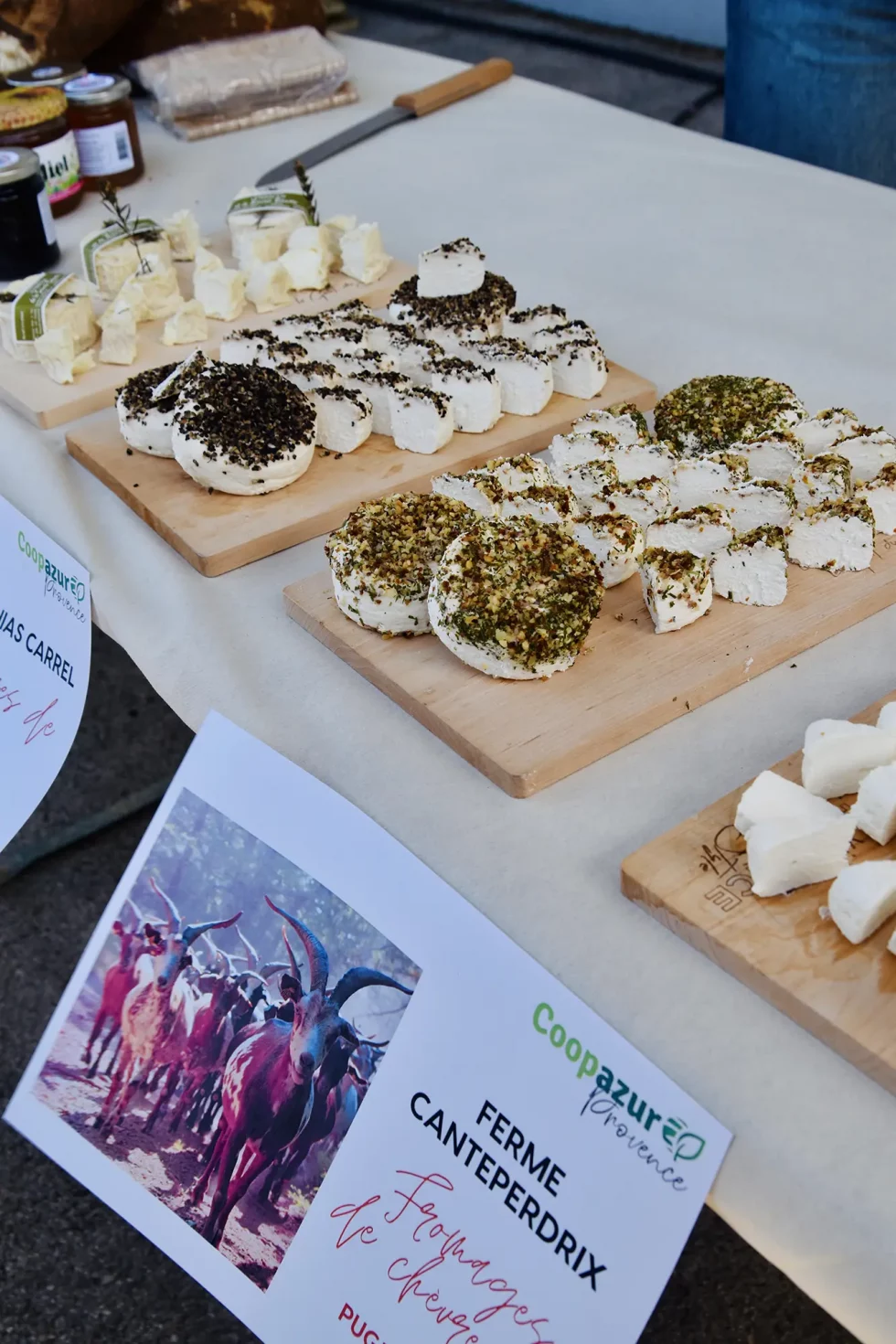 nouvelle gouvernance coopazur 2024 (19)