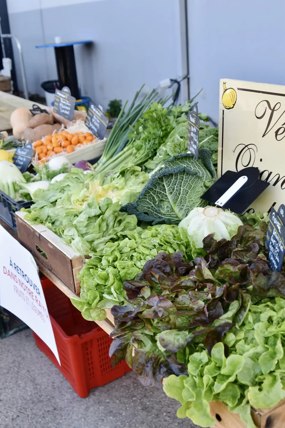 nouvelle gouvernance coopazur 2024 (20)