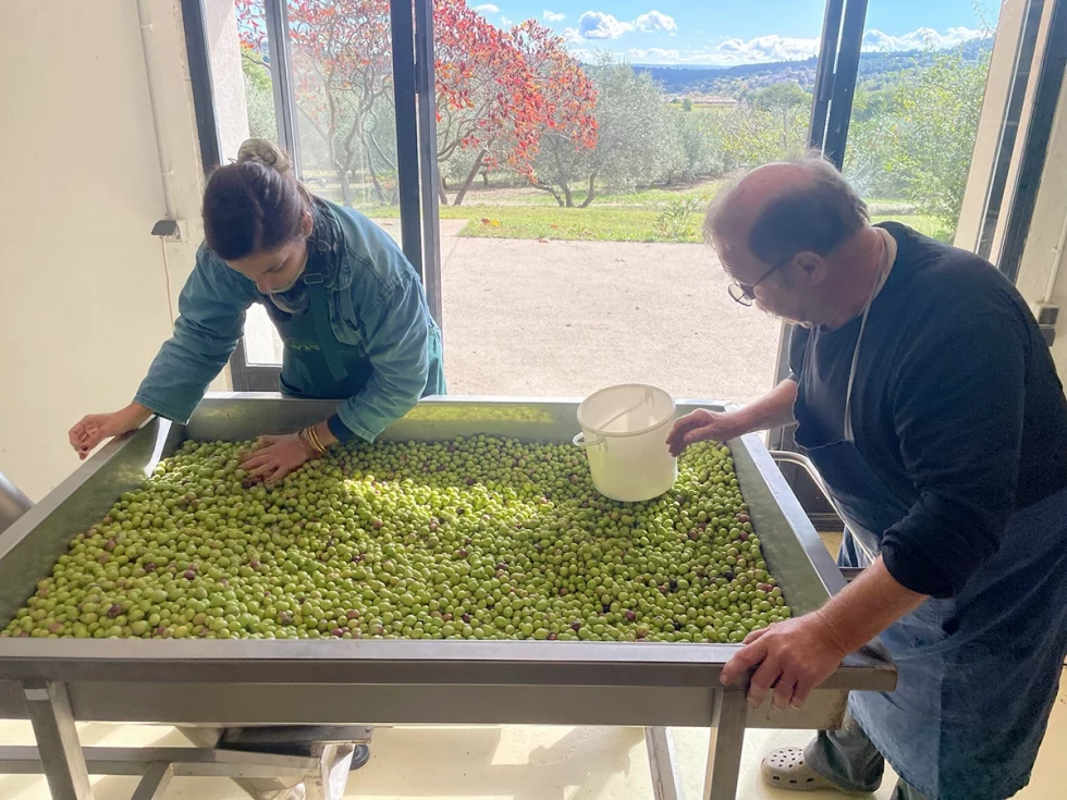 visite artisans oliverons luberon (1)