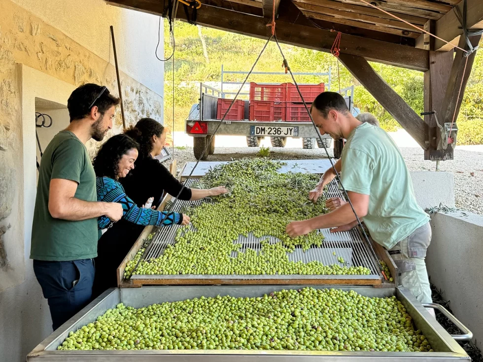 visite artisans oliverons luberon (3)