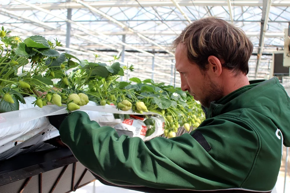 Timothée de Valbray, Chef d'exploitation de la Pépinière Valbray à Hyères