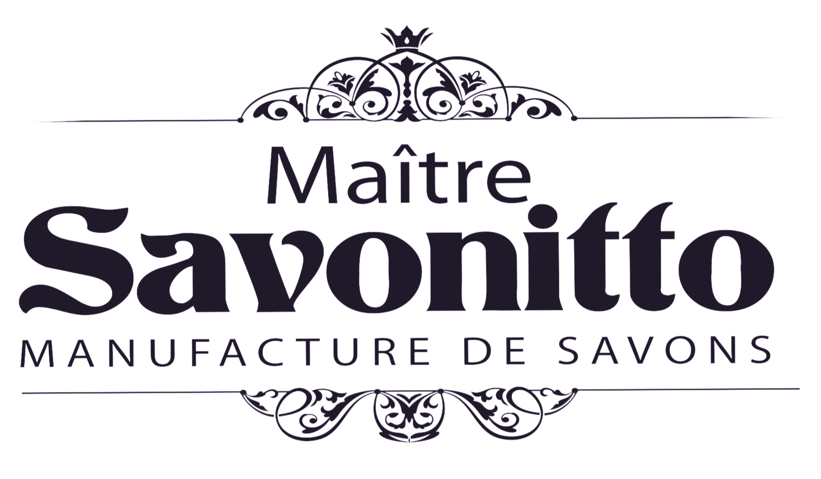 logo ms vector page 0001 convertimage modifie modifie