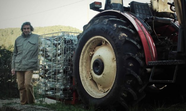Région Sud – Le réemploi des contenants alimentaires en verre : les enjeux sont économiques et environnementaux