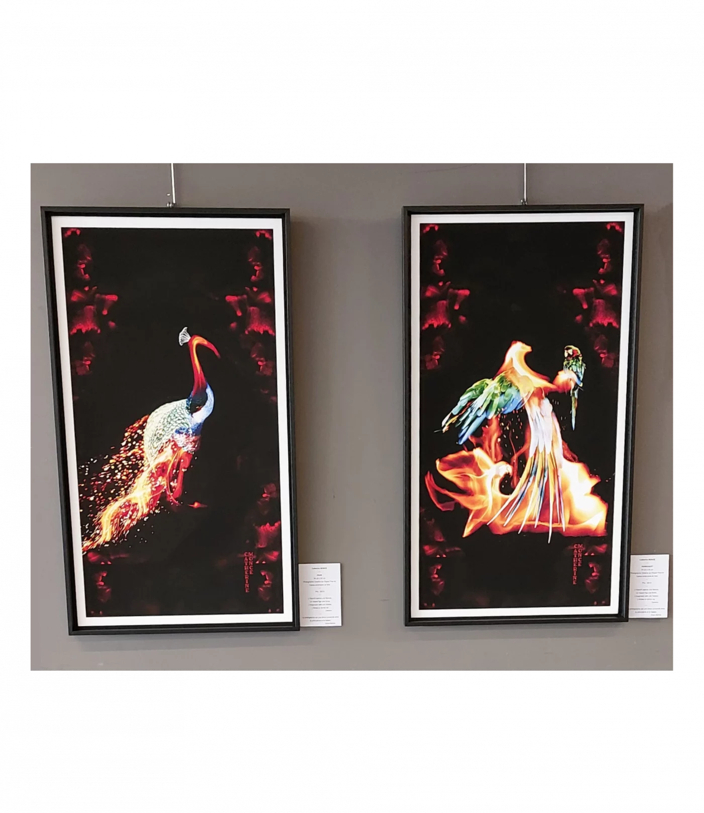 expo figures du hasard 2026