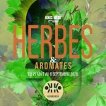 Marseille – La 9e édition du Festival KOUSS·KOUSS met à l’honneur les herbes aromatiques du 21 août au 6 septembre 2026