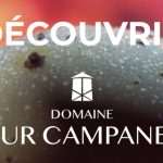 Le Domaine Tour Campanets, propriété au Puy-Sainte-Réparade, classé en AOP Coteaux d’Aix-en-Provence et son activité en viticulture portée par Emmanuelle Baude