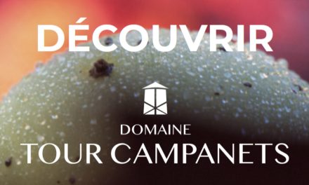 Le Domaine Tour Campanets, propriété au Puy-Sainte-Réparade, classé en AOP Coteaux d’Aix-en-Provence et son activité en viticulture portée par Emmanuelle Baude