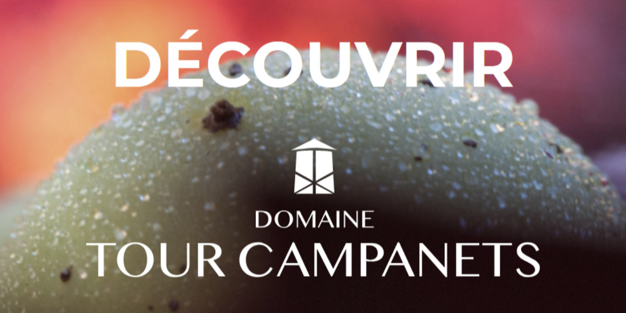 Le Domaine Tour Campanets, propriété au Puy-Sainte-Réparade, classé en AOP Coteaux d’Aix-en-Provence et son activité en viticulture portée par Emmanuelle Baude